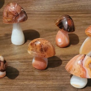 Photo of (Set of 6) Natural Sardonyx Quartz Crystal Decorative Mushroom Carvings 210g+