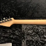 Listing Photo Thumb #9