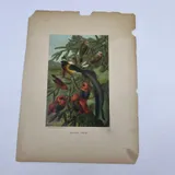 Listing Photo Thumb #3