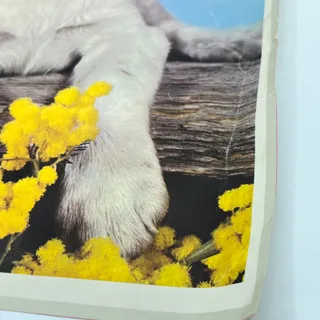 Photo of 1970s Kitschy Photo Print Poster Beagle Puppies 14x16 RU1