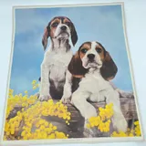 Listing Photo Thumb #3