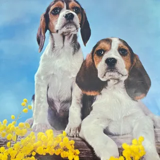 Photo of 1970s Kitschy Photo Print Poster Beagle Puppies 14x16 RU1