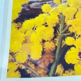 Listing Photo Thumb #5