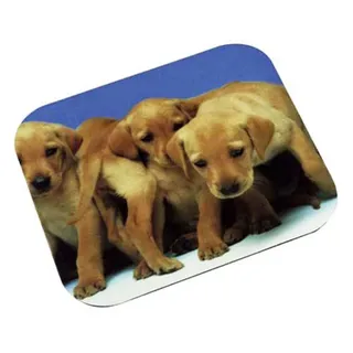 Photo of 3M Labrador Puppies Optical Mouse Pad
