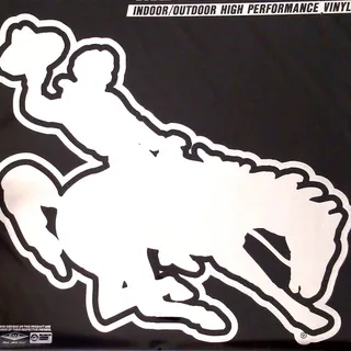 Photo of University of Wyoming Cowboys 12 Inch Magnet Silver Metallic Chrome Style Vinyl Die Cut Auto Home