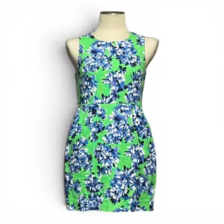 Photo of J.Crew Cotton Sleeveless Mini Dress Pockets Green Blue White Floral Petite 6