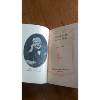 Photo of The Works of Bret Harte - Vol IV - A Ward of The Golden Gate - Copyright 1890