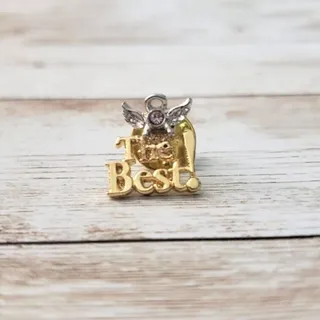 Photo of Gold Tone Angel "The Best!" Pin / Brooch