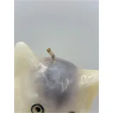 Listing Photo Thumb #5