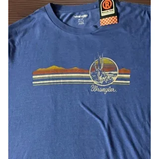 Photo of Wrangler Retro T-Shirt Mens M Blue Desert Sunset Cactus Graphic Tee EUC