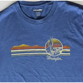 Photo of Wrangler Retro T-Shirt Mens M Blue Desert Sunset Cactus Graphic Tee EUC