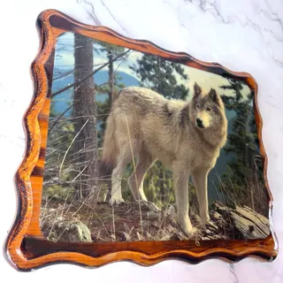 Photo of Vintage Wolf Photo Plaque Wood Wall Art Rustic Wildlife Cabin Decor 11.5x9.5