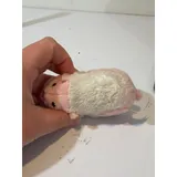 Listing Photo Thumb #4