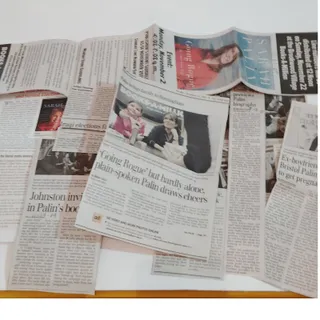 Photo of Sarah Hockey Mom Alaska 2007 Hardcover LN Palin Biography Bonus Newspaper Clips
