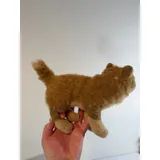 Listing Photo Thumb #6