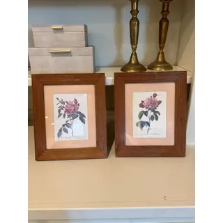 Photo of Vintage Pierre Joseph Redoute Rose Botanical Art Prints Framed Pair