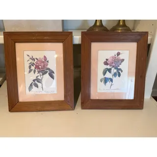 Photo of Vintage Pierre Joseph Redoute Rose Botanical Art Prints Framed Pair