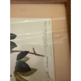 Listing Photo Thumb #5