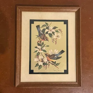 Photo of Vintage Framed Bird Print Cedar Waxwings Dogwood Flowers by William J Whiteside