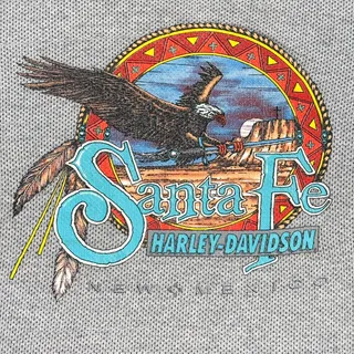Photo of Vintage Harley Davidson Santa Fe Eagle Mesh Knit Pocket T-Shirt - XL