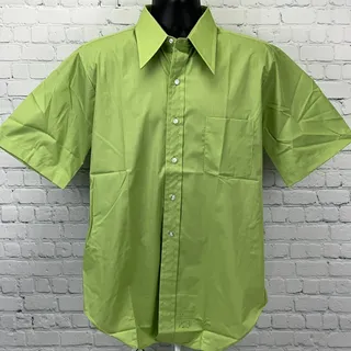 Photo of Vintage 70s Arrow Kent Collection Button Front Shirt L Large Green Big Collar