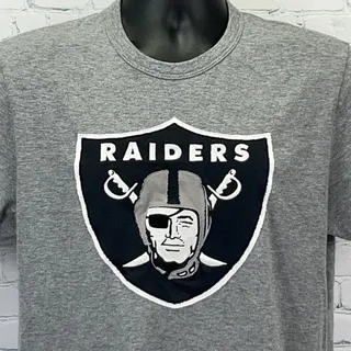 Photo of Las Vegas Raiders Embroidered Logo T Shirt M Medium Gray Short Sleeve 47 Brand