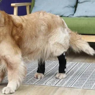 Photo of Dog Rear Leg Knee Braces - Pair - Hock Joint Wrap Support Injuries Size Medium