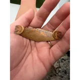 Listing Photo Thumb #5