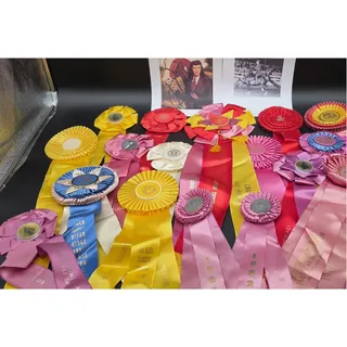 Photo of Jean McLean Kentucky Horsewoman – 17 Award Ribbons Collection Lot