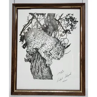 Photo of 1987 Ralph Shryock Wildlife Print 28/500 Signed Framed Bobcat Drawing 8x10