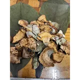 Listing Photo Thumb #2