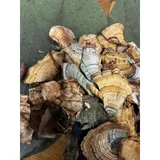 Listing Photo Thumb #4