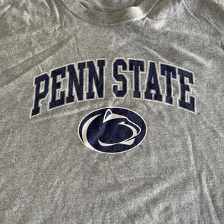 Photo of Gildan NCAA Penn State Nittany Lions Gray Cotton Logo T-Shirt Men's XL Y2K