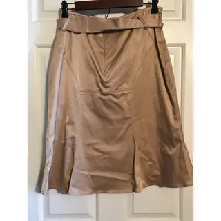 Photo of ETCETERA Women's Gold Fully Lined Godet Flare Skirt Back Zip Belt Sz:10 NWOT
