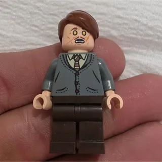 Photo of LEGO 76414 Harry Potter: Professor Remus Lupin Minifigure - NEW