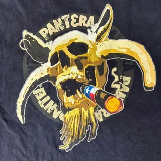 Photo of Vtg 2004 Pantera Texas Skull CFH Heavy Metal Shirt XL