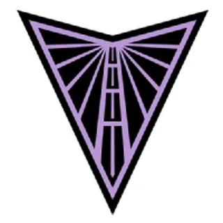 Photo of GS Valkyries WNBA Flag