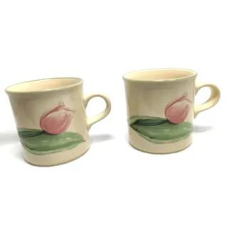 Photo of Set 2 Pfaltzgraff Garden Party Floral Coffee Mugs Retired Replacement USA