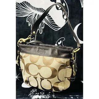Photo of Coach 41856 Zoe Mini Signature Khaki Brown Canvas Leather Shoulder Bag
