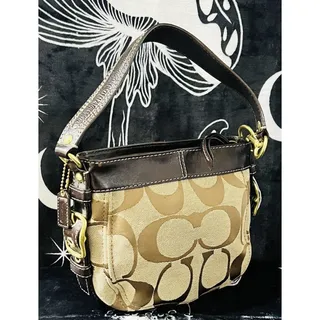 Photo of Coach 41856 Zoe Mini Signature Khaki Brown Canvas Leather Shoulder Bag