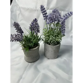 Photo of 2 Pc Faux Lavender Plants Purple Flowers Gray Cement Pots Farmhouse Decor