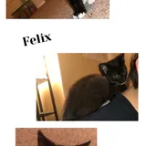 Listing Photo Thumb #1