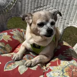 Listing Photo Thumb #7