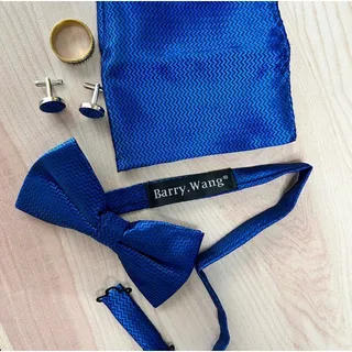 Photo of NWOT Elegant Blue Bow Tie Set