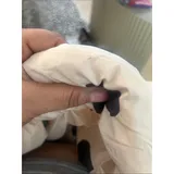 Listing Photo Thumb #6