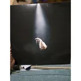 Listing Photo Thumb #1