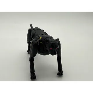 Photo of  Transformers: War for Cybertron - Kingdom Deluxe Class Shadow Panther
