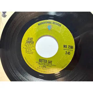 Photo of Alice Cooper - Warner Bros. 45 RPM - School's Out / Gutter Cat