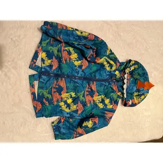 Photo of Kids Dinosaur Windbreaker Jacket Size 4 | Colorful Hooded Spring Fall Coat