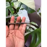 Listing Photo Thumb #5